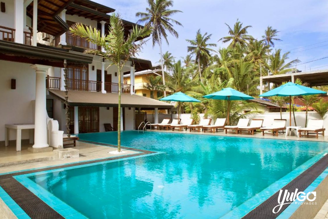 Voyage au Sri Lanka 4