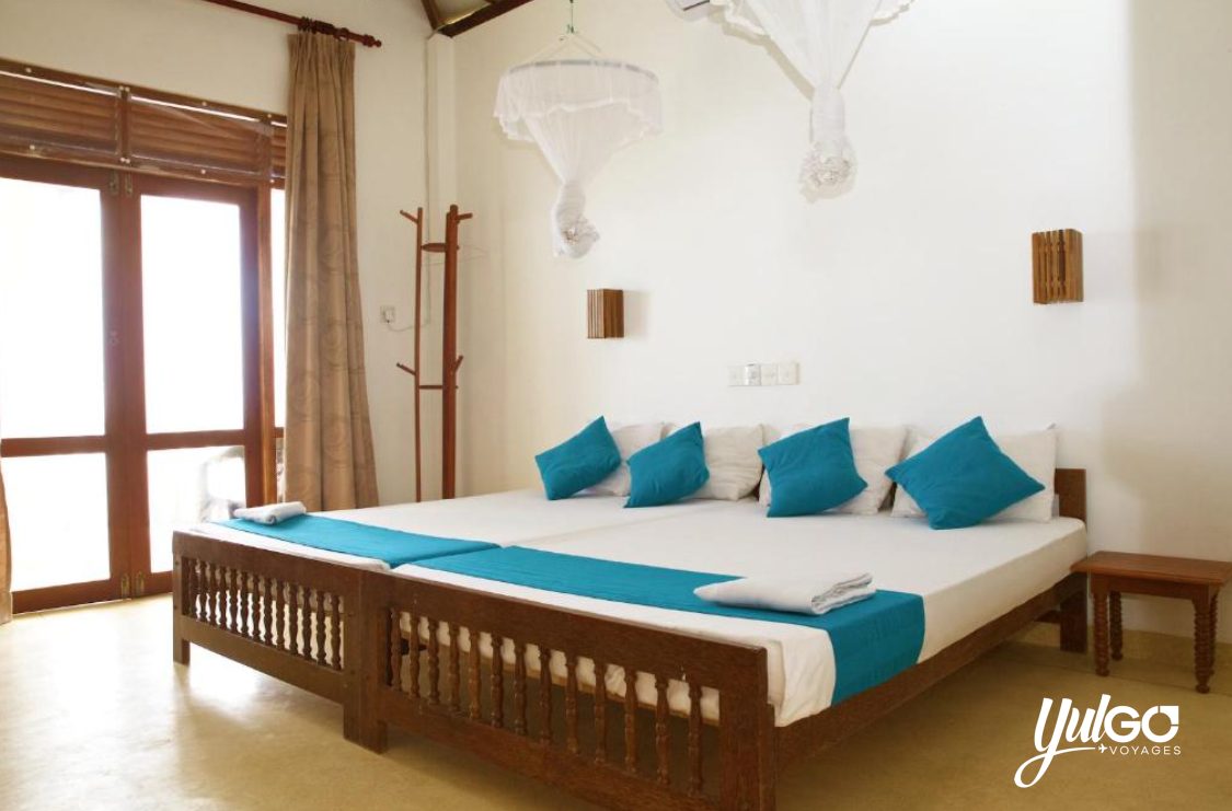 Voyage au Sri Lanka 6