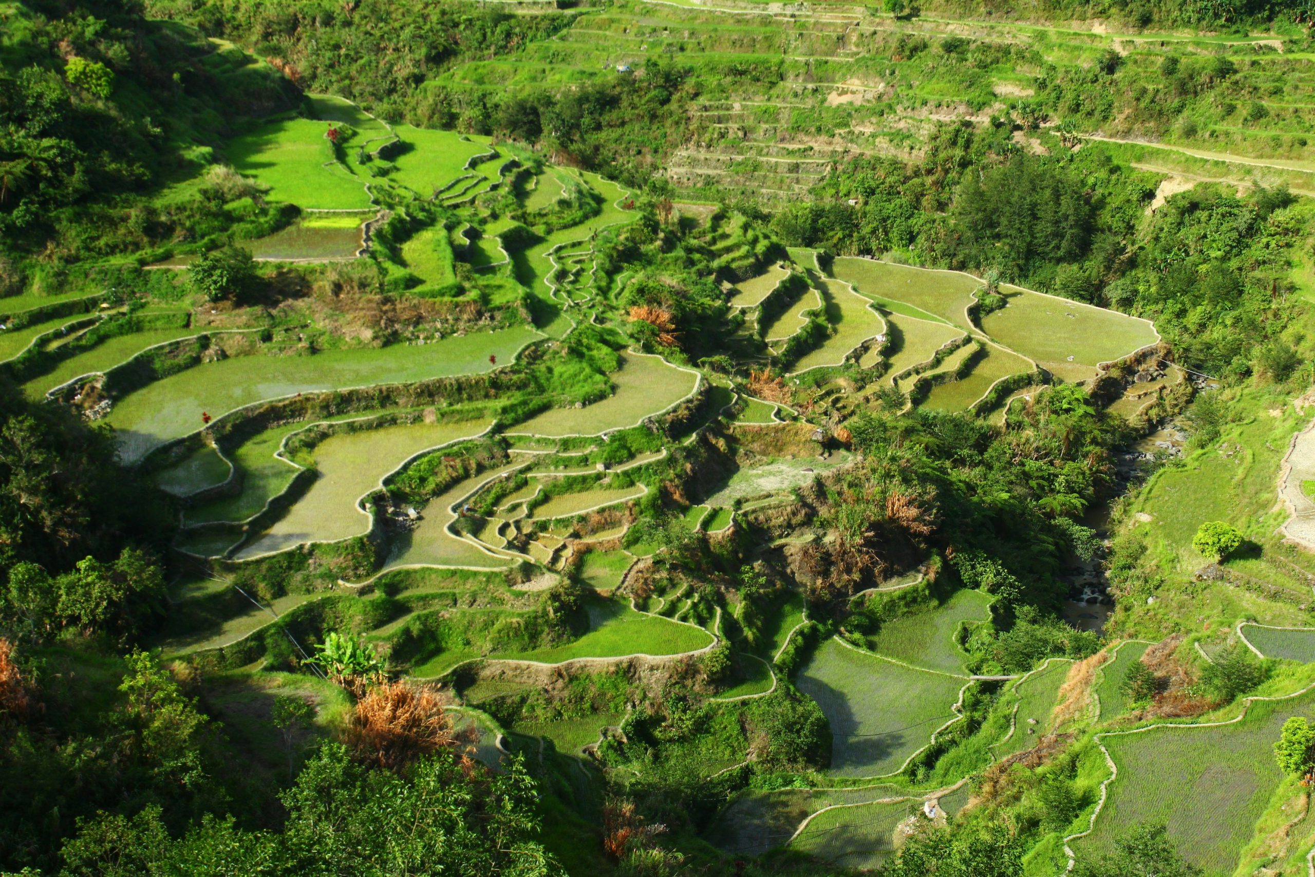 Voyage aux Philippines 13