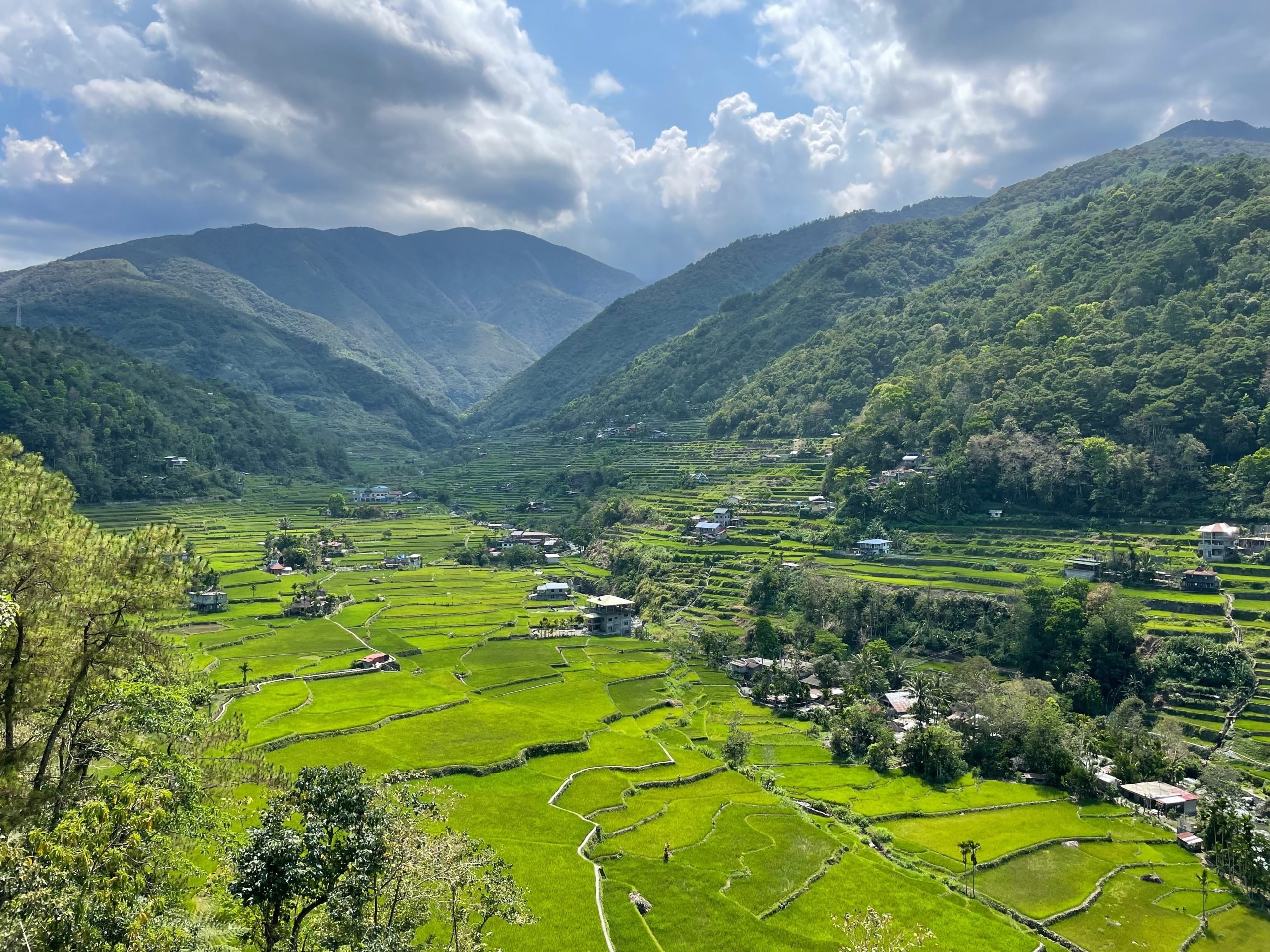Voyage aux Philippines 9