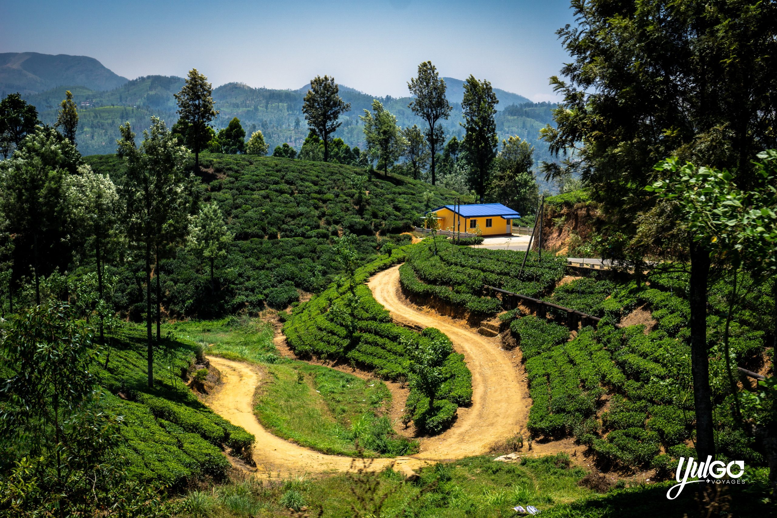 Voyage organisé au Sri Lanka 14