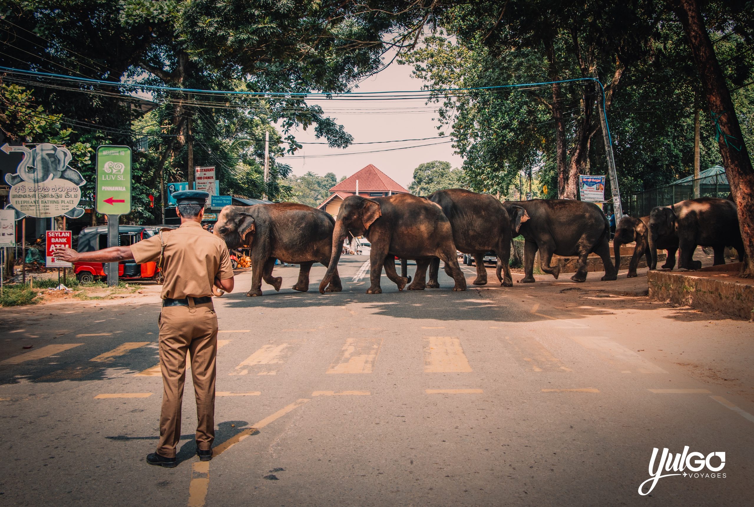 Voyage organisé au Sri Lanka 2