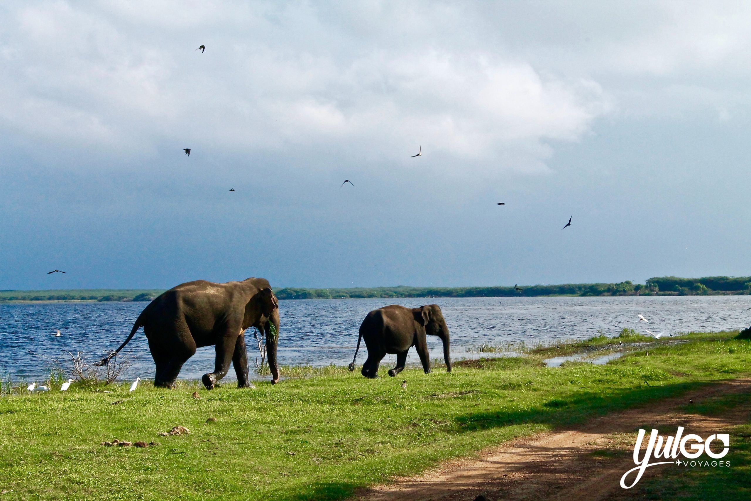 Voyage organisé au Sri Lanka 3
