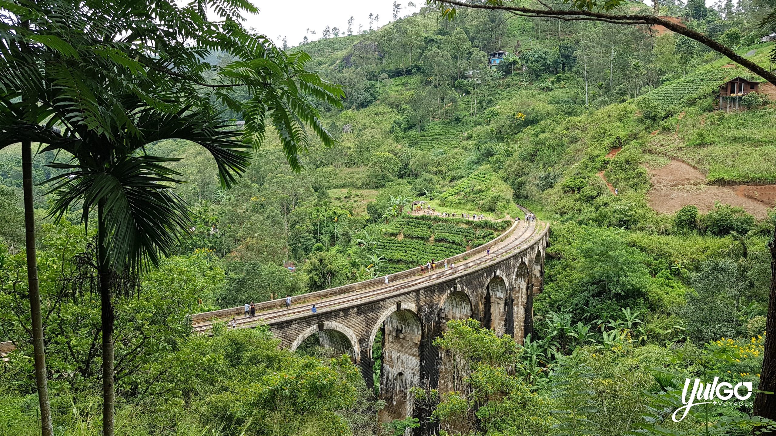 Voyage organisé au Sri Lanka 4