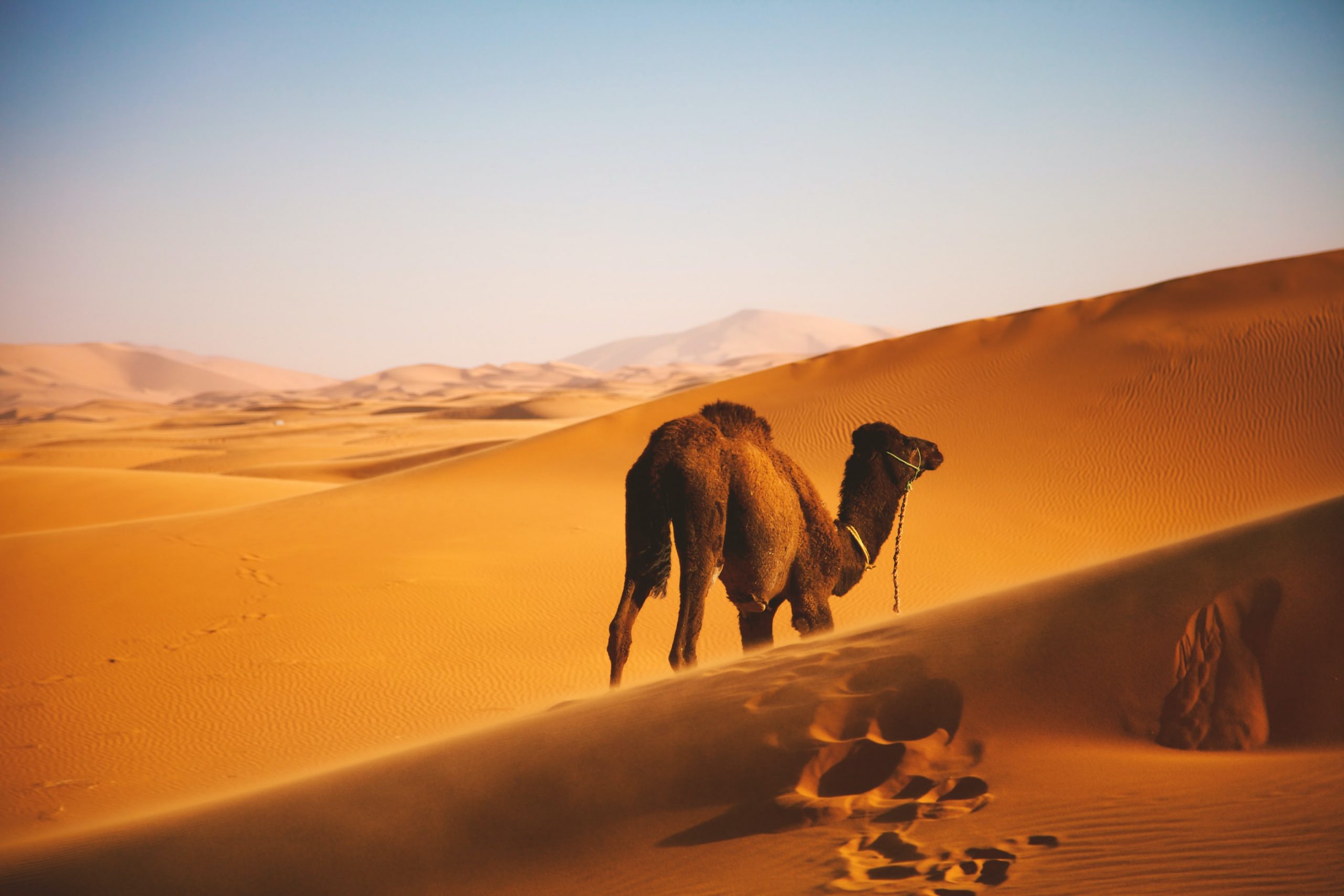 Voyages Yulgo Maroc désert Sahara Erg Chegaga