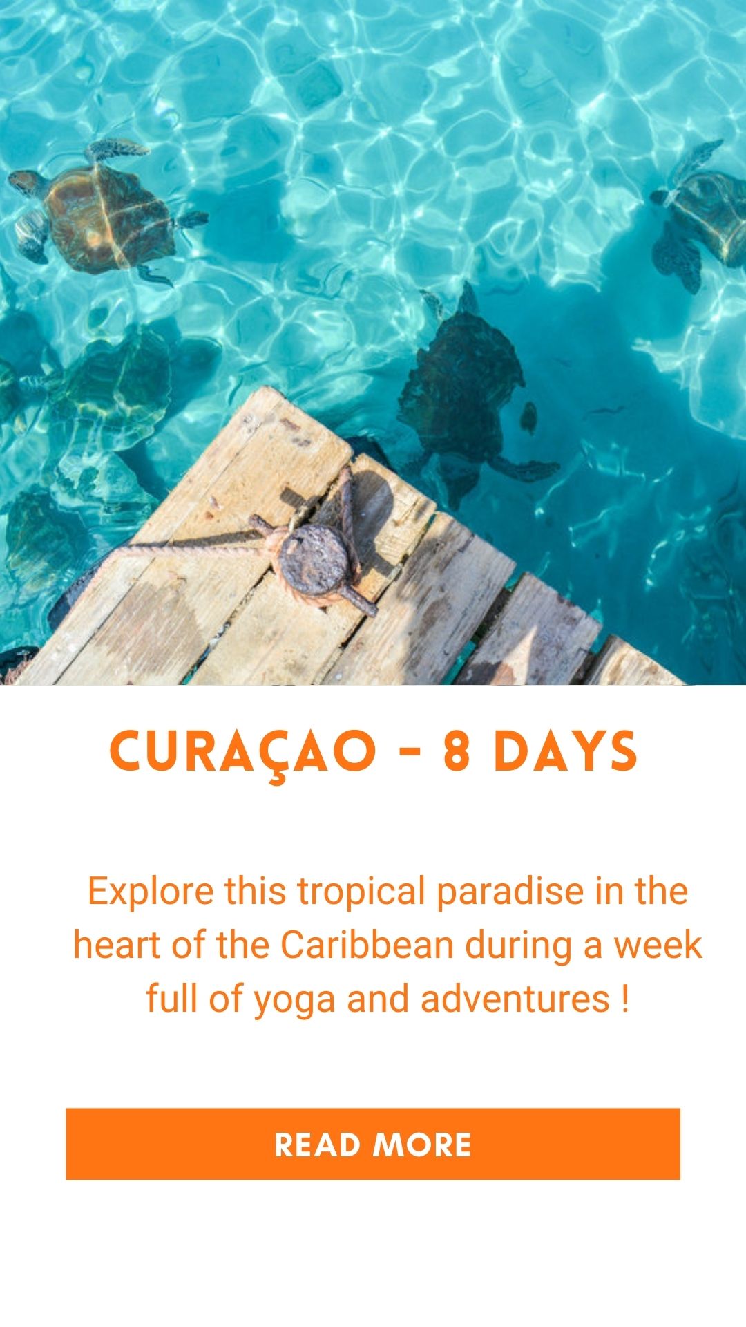 Organized trip in Curaçao (yoga retreat)