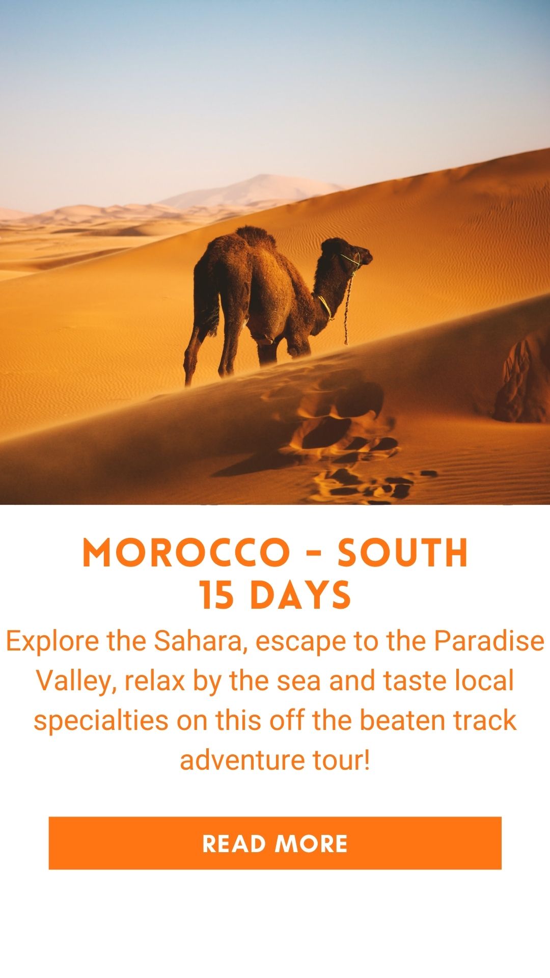 Organized trip in Morocco
