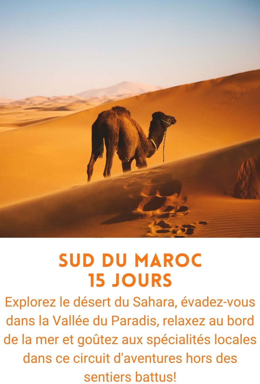 Voyage organisé au Maroc