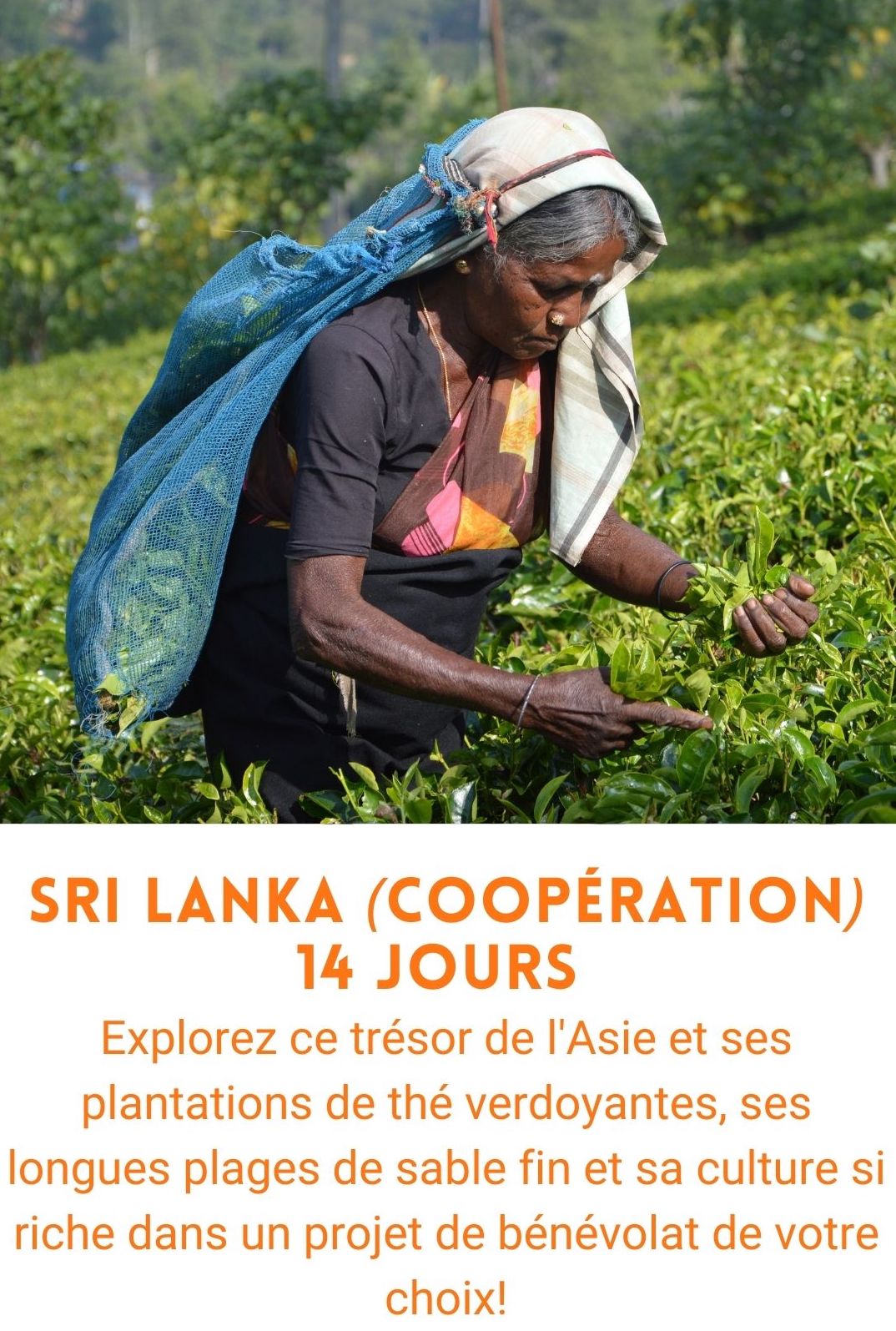 Voyage organisé au Sri Lanka (voyage humanitaire)