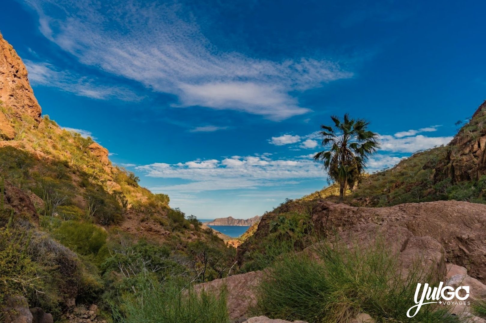 Voyage organisé Baja California 4 copy