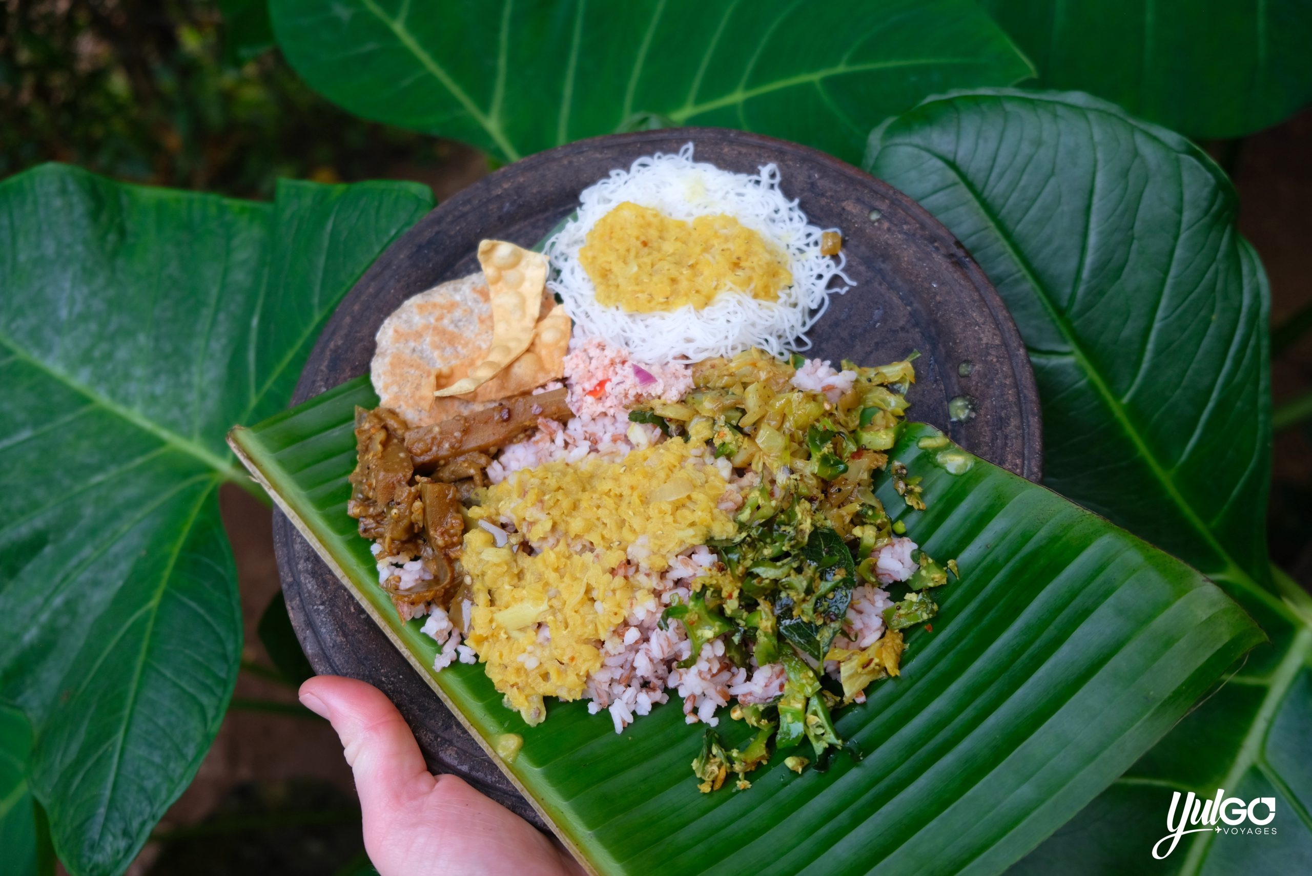 Voyage orgnaisé au Sri Lanka 15