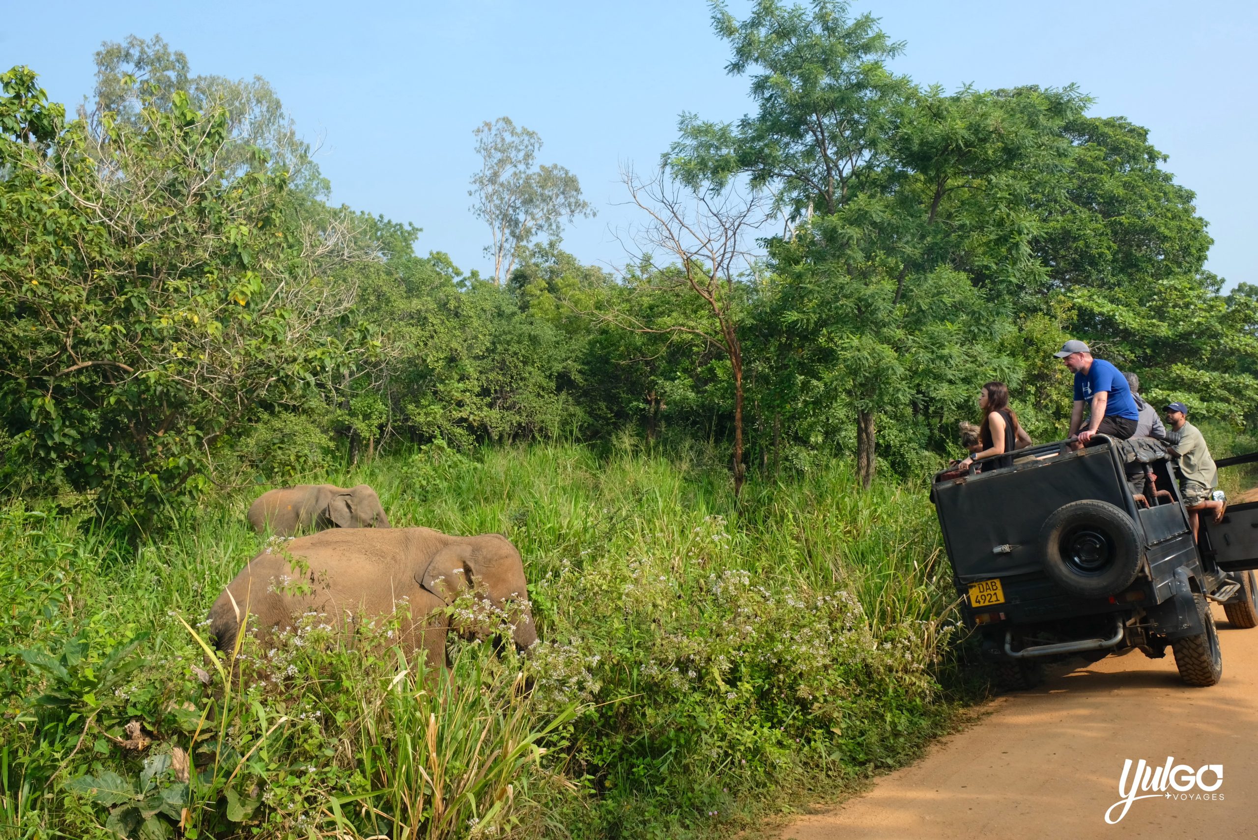 Voyage orgnaisé au Sri Lanka 20