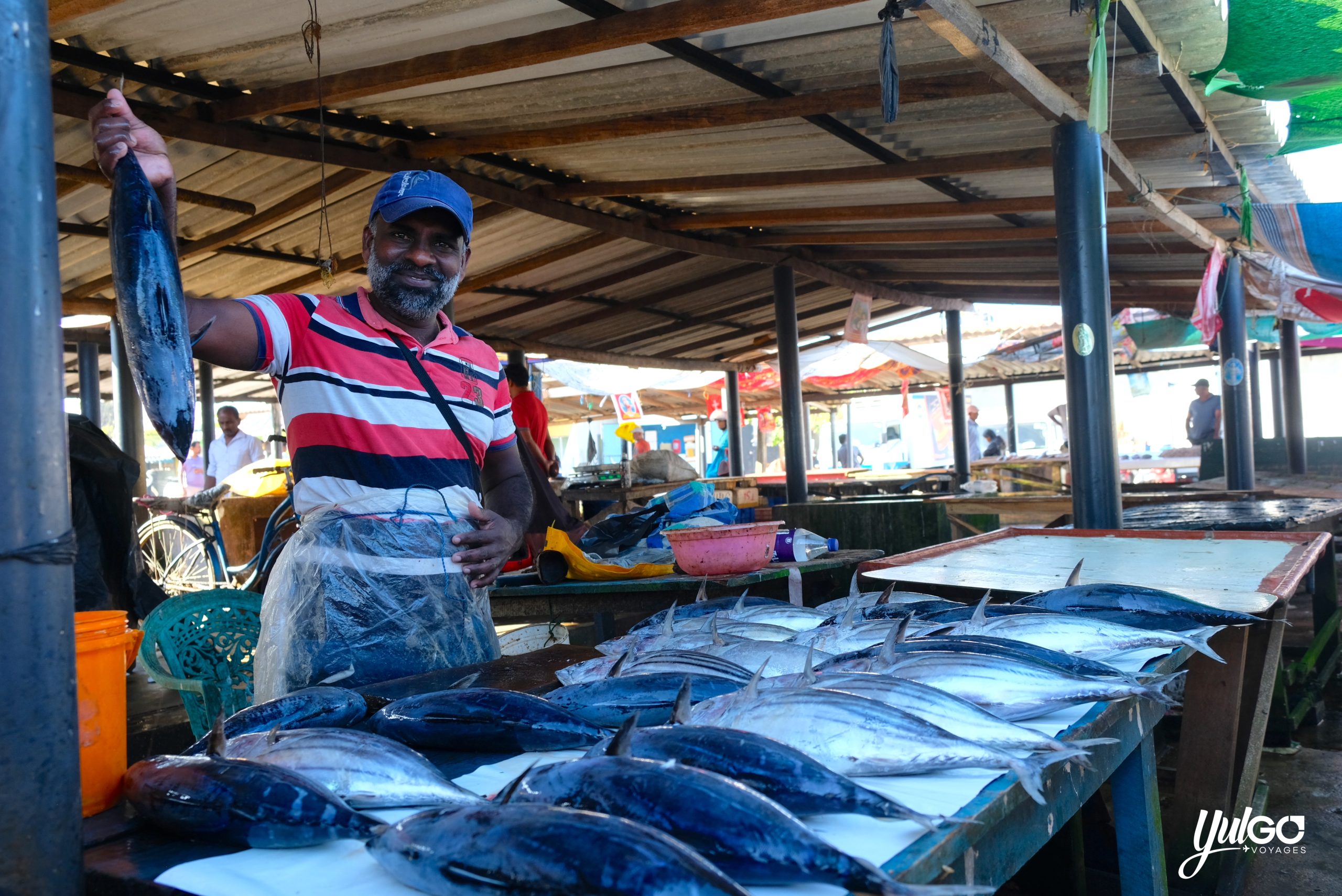 Voyage orgnaisé au Sri Lanka 4