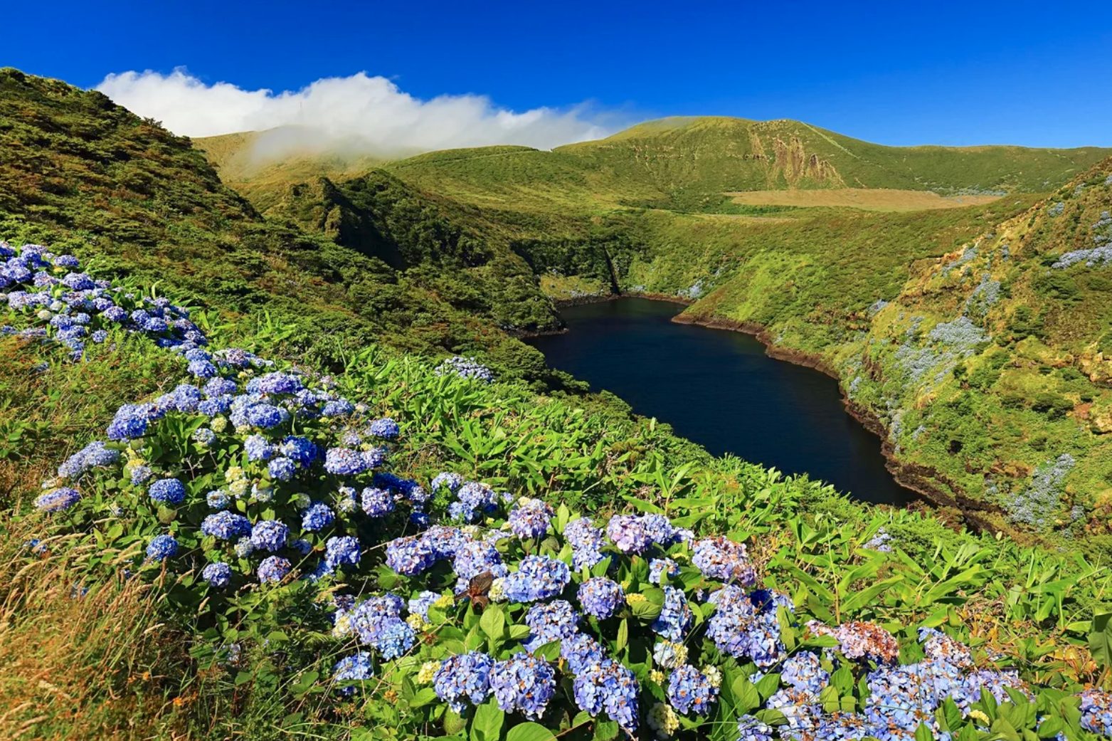 Voyage dans les Açores 1