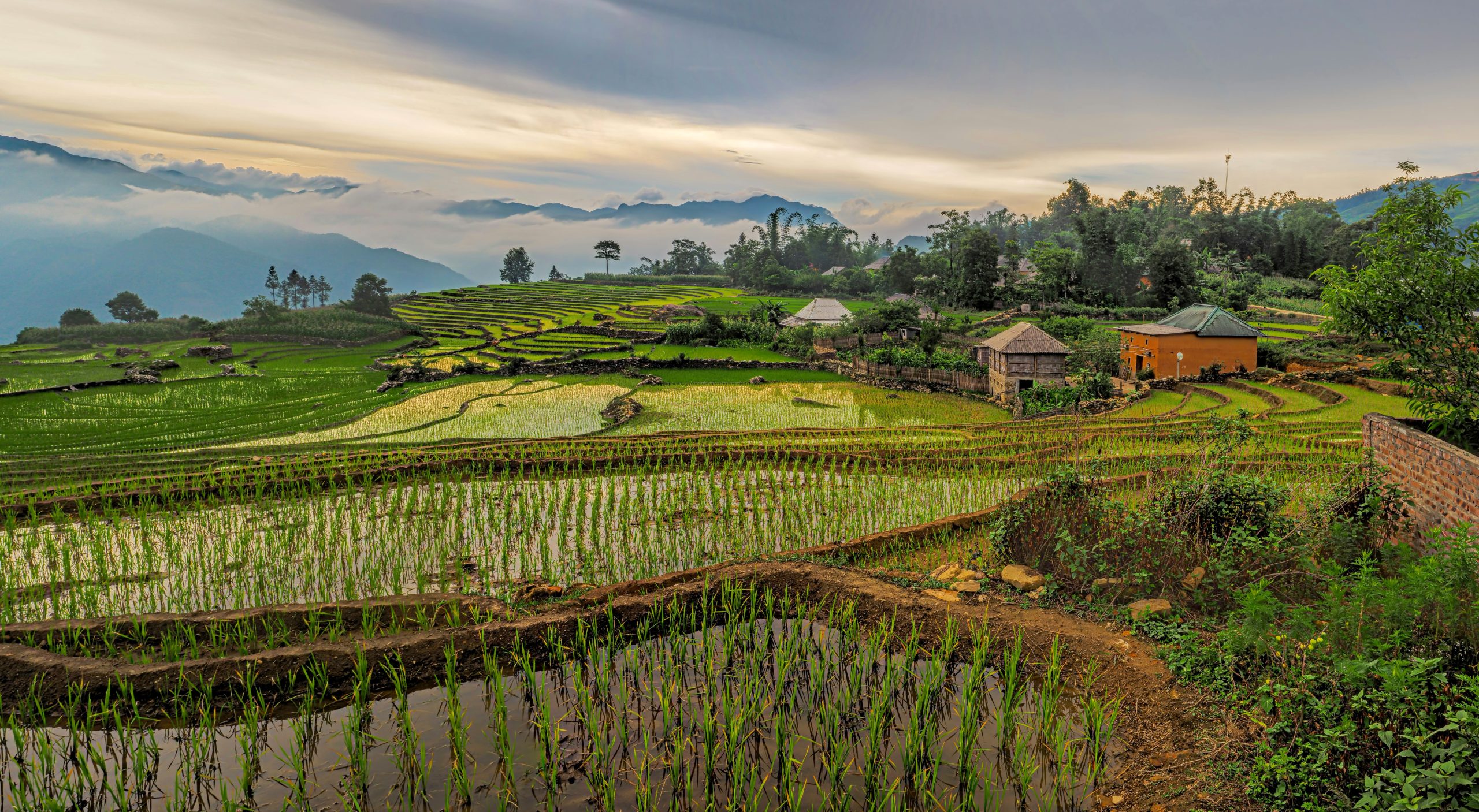 COVER Voyage organisé au Vietnam 7