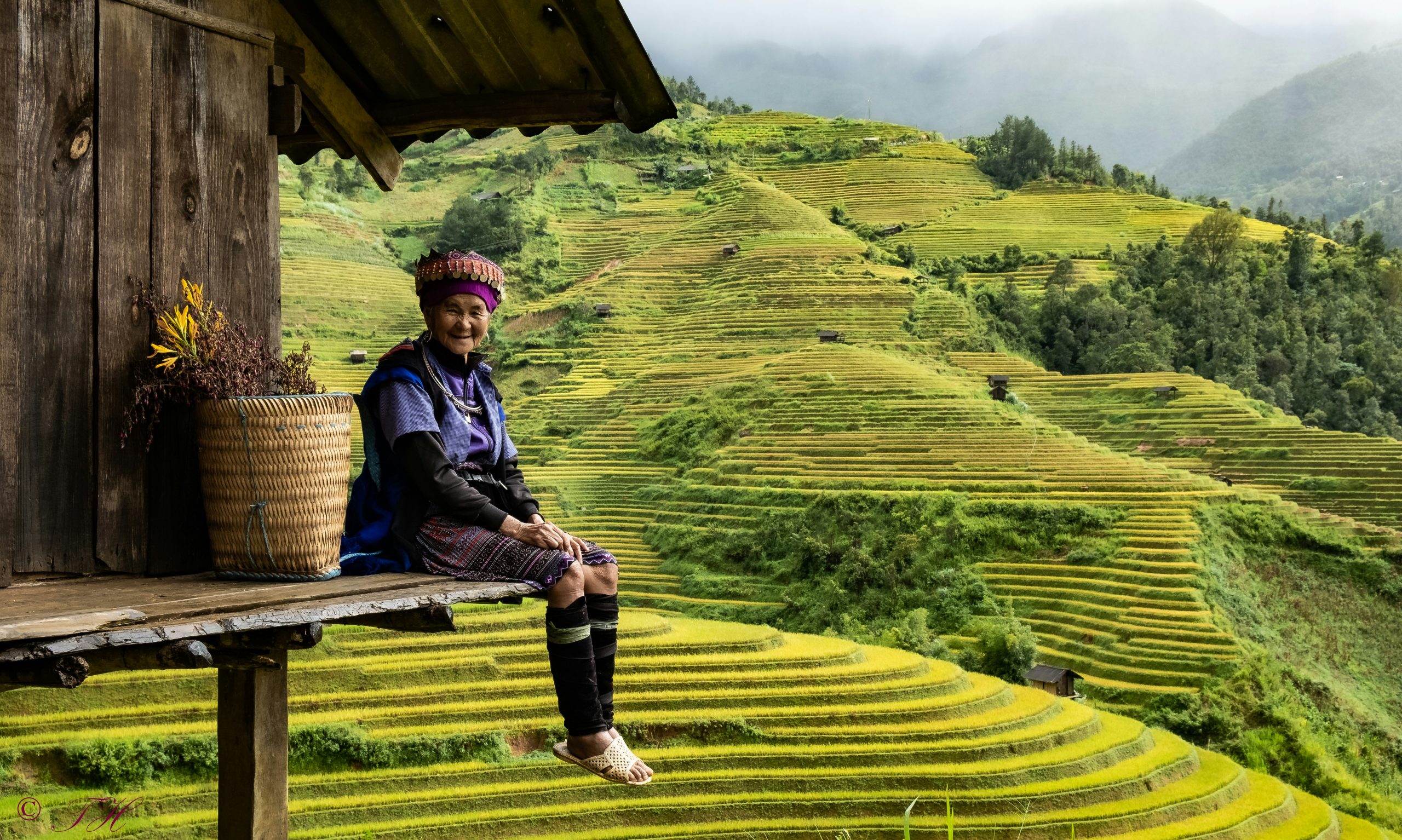 Voyage organisé au Vietnam 4