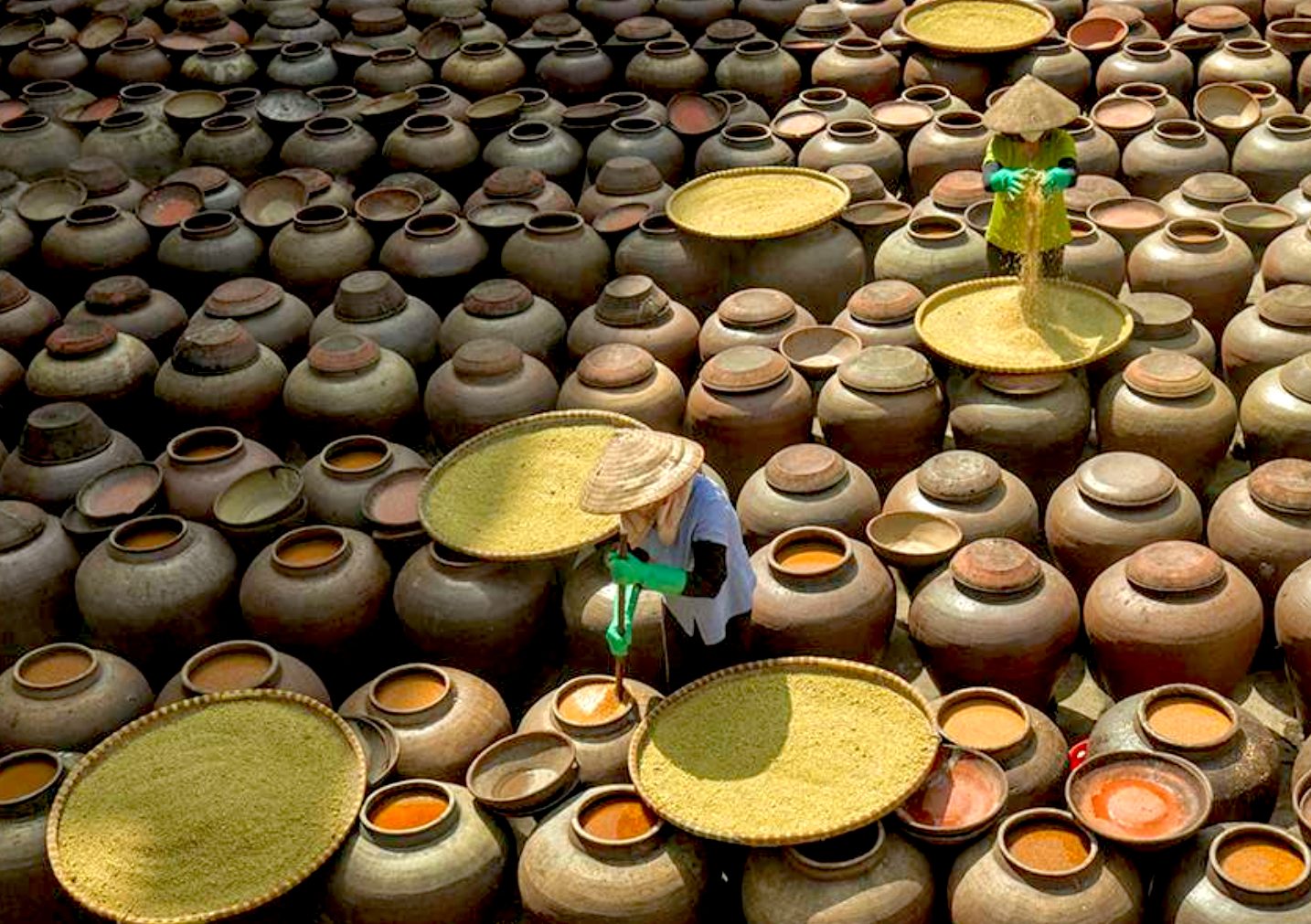 Voyage organisé au Vietnam 11