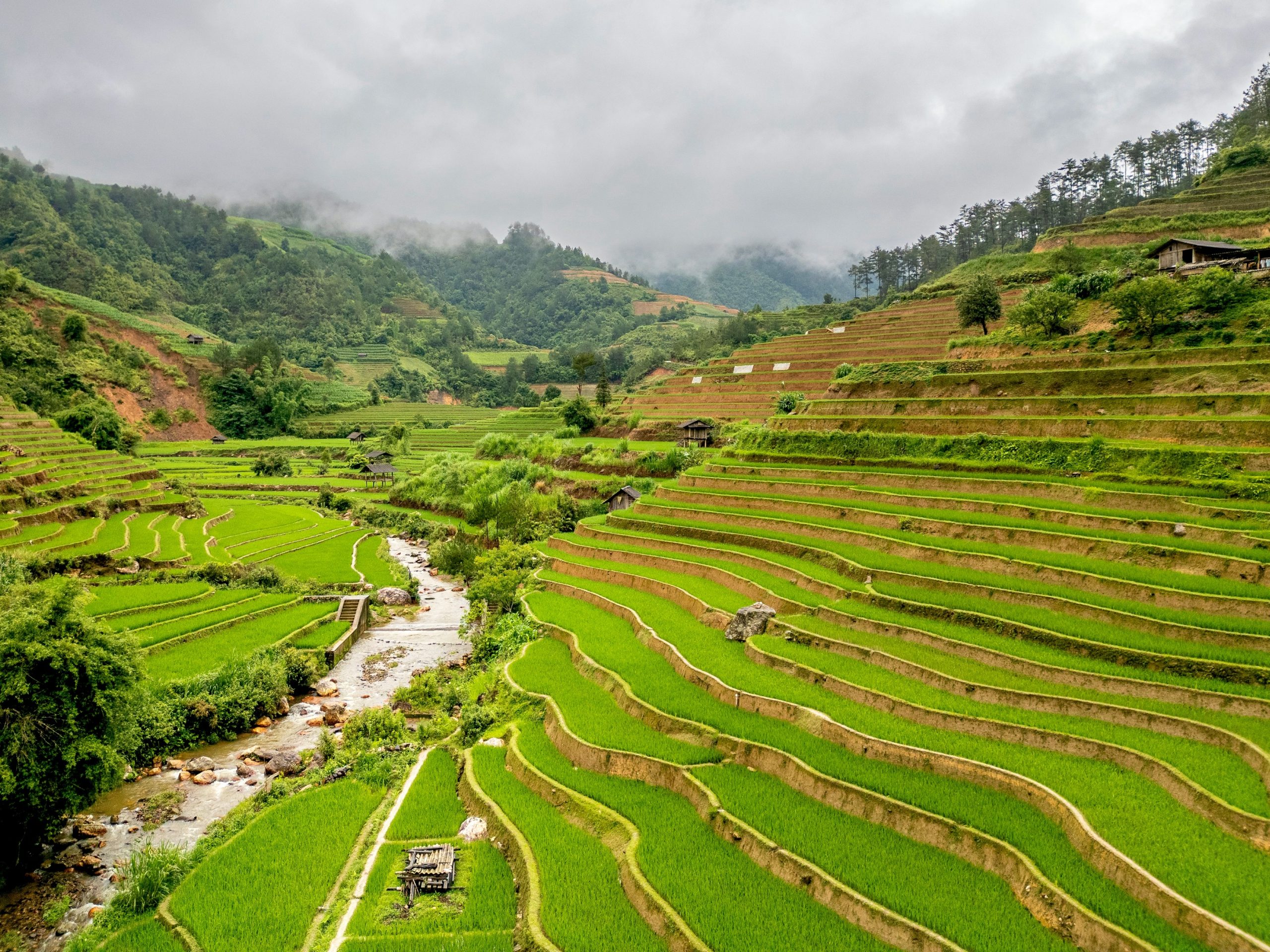 Voyage organisé au Vietnam 21