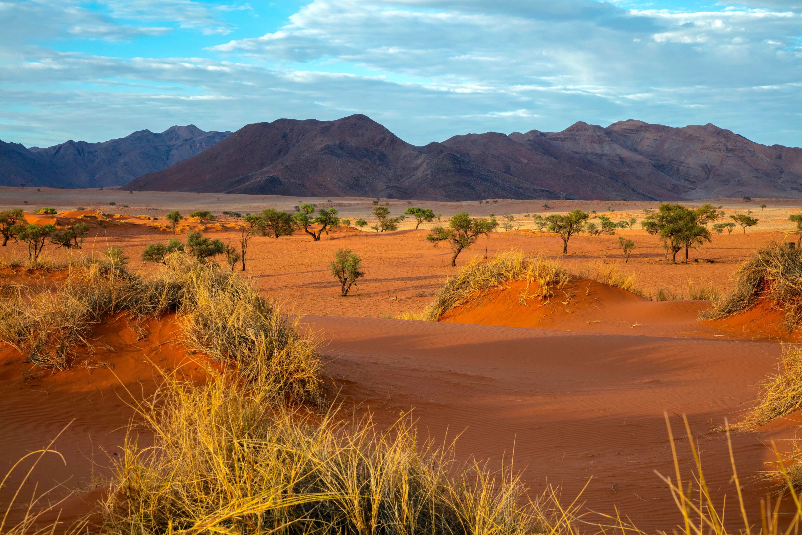 Voyage en Namibie 1