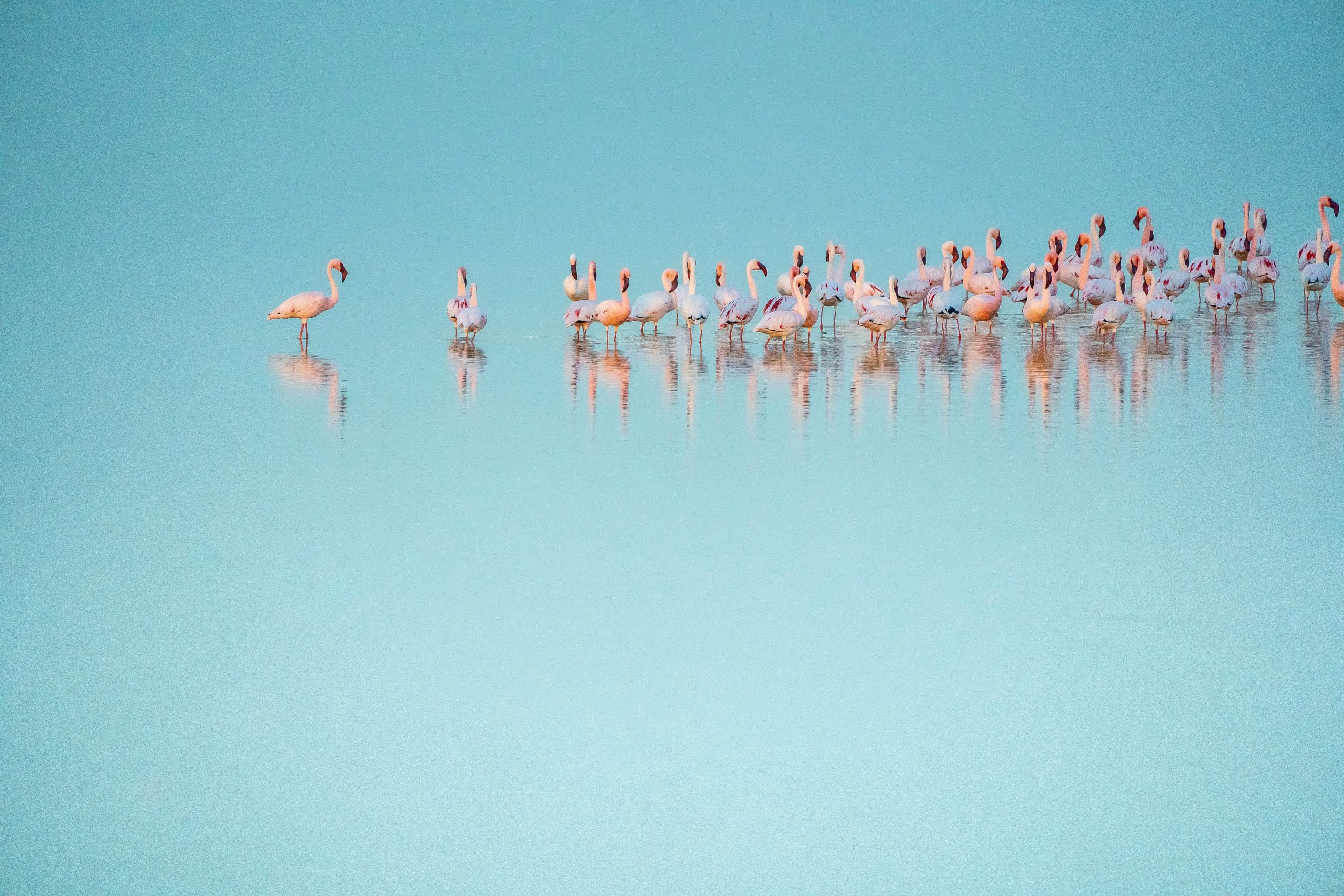 Voyage en Namibie 10