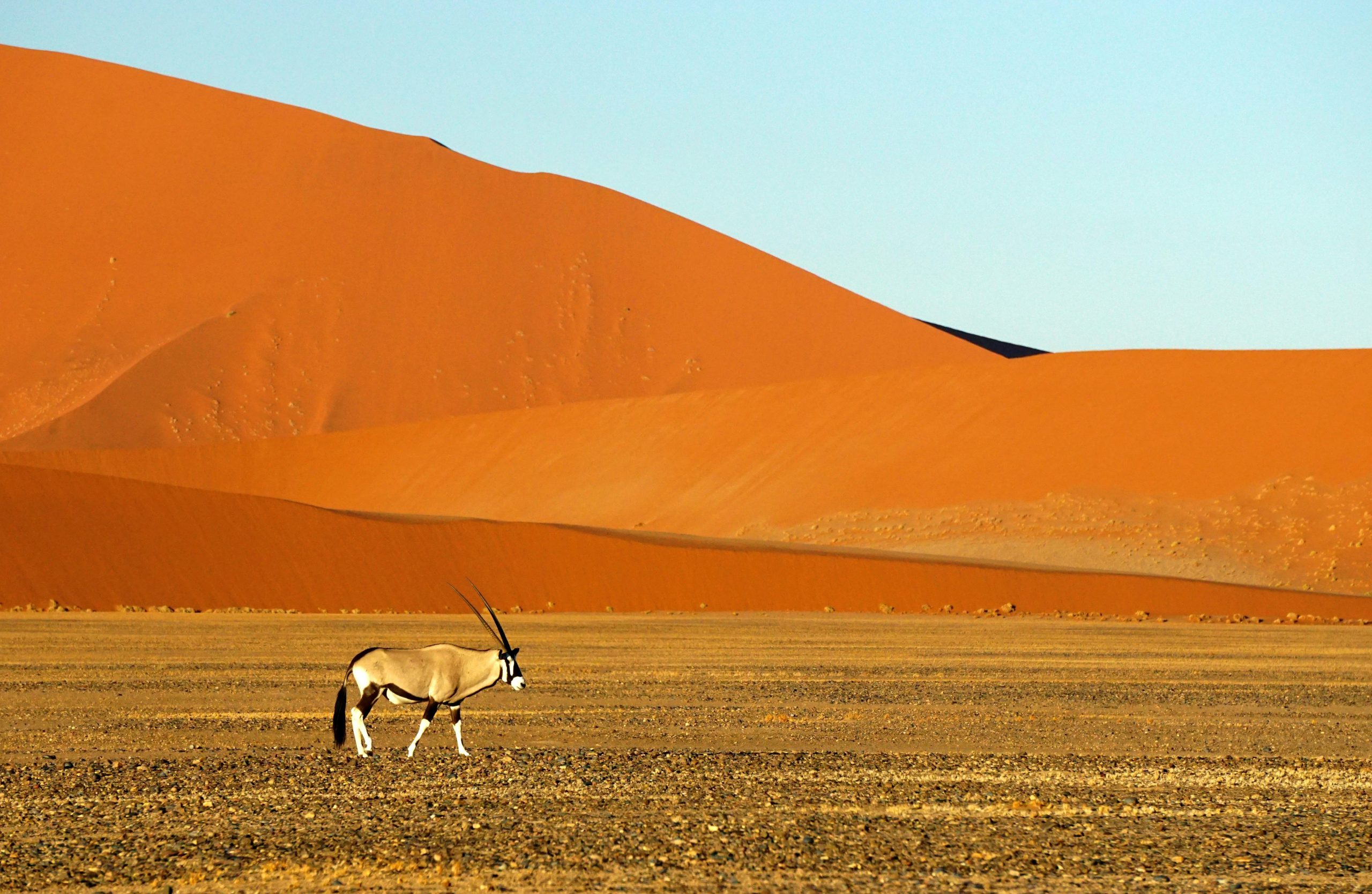 Voyage en Namibie 12
