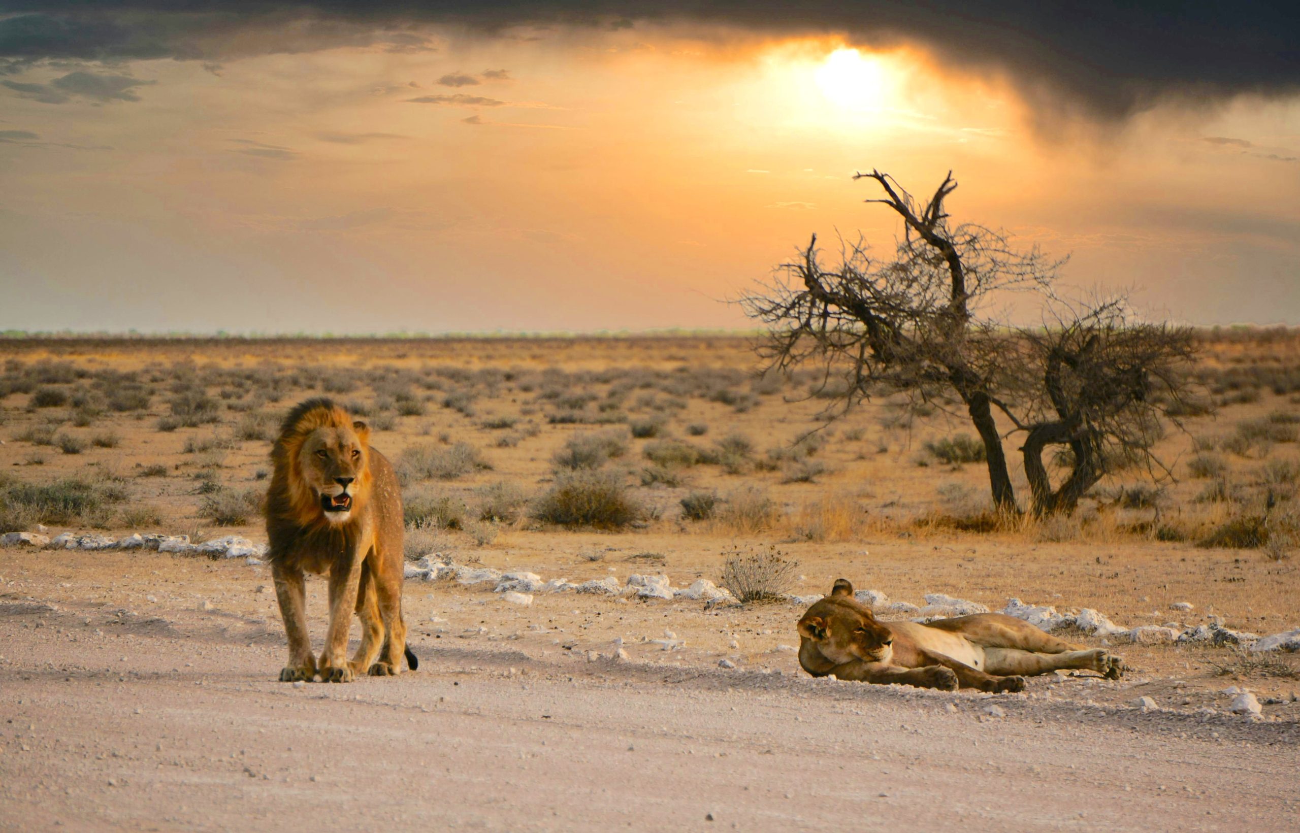 Voyage en Namibie 14