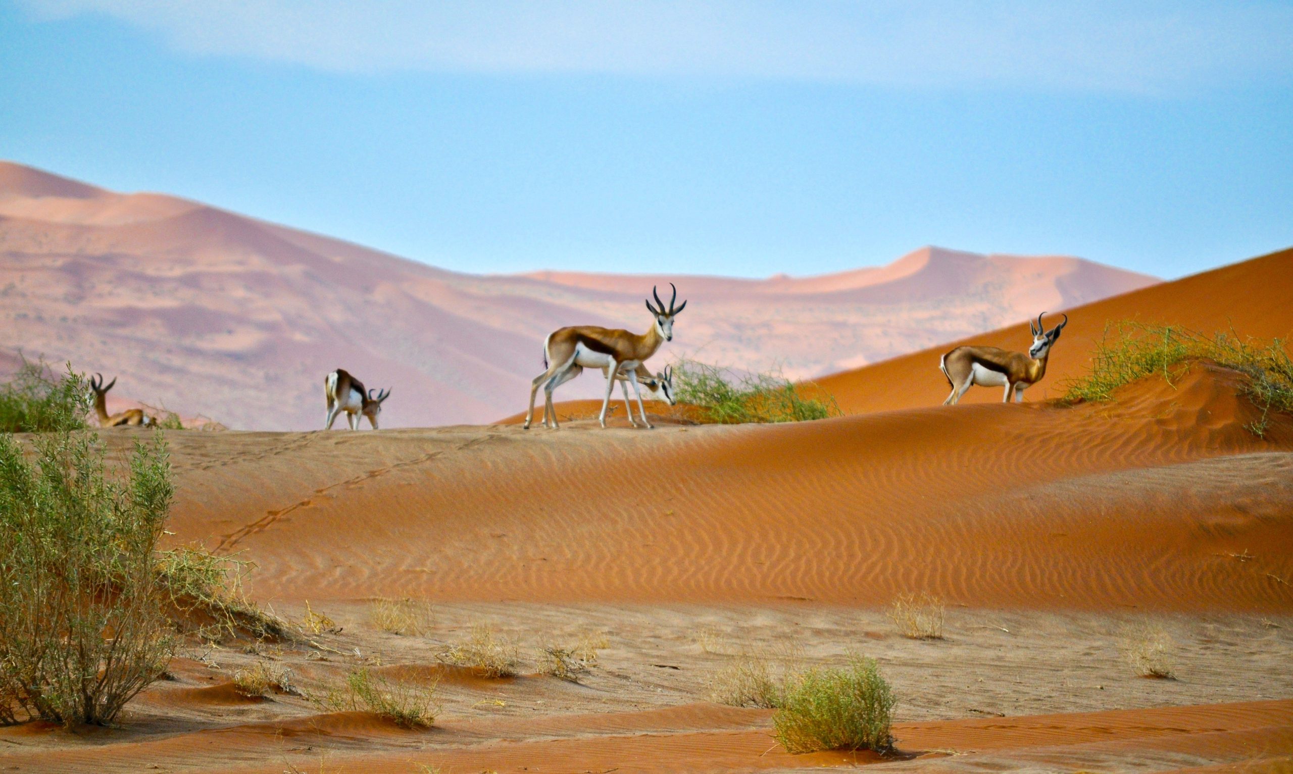 Voyage en Namibie 3