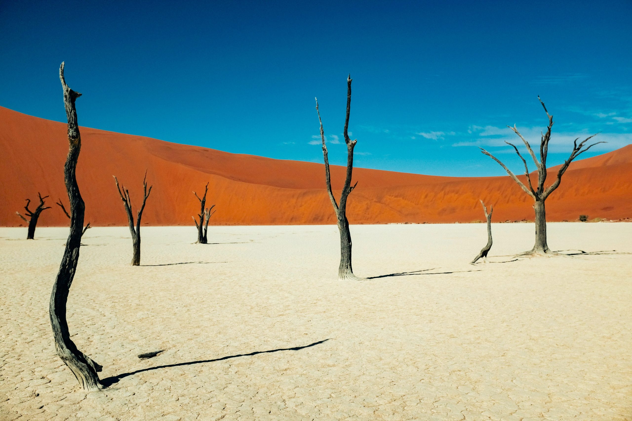 Voyage en Namibie 4